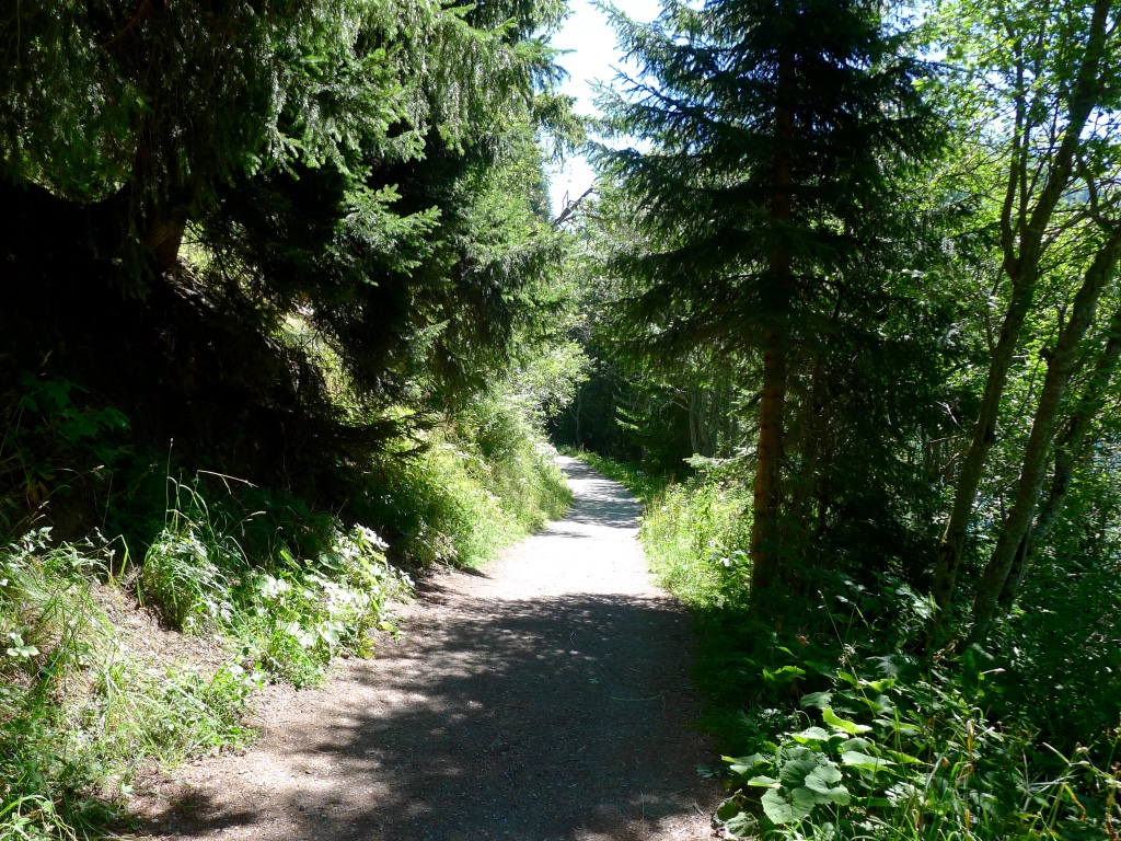 Sentier autour du lac de St-Guérin