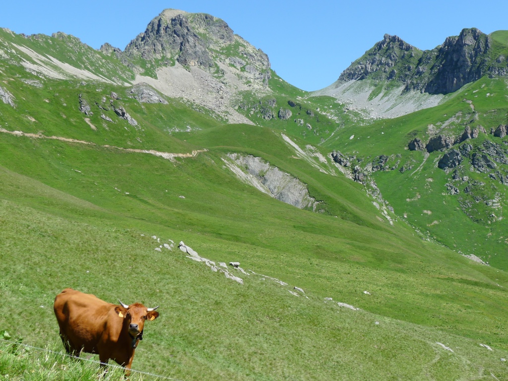 Col de la Cicle