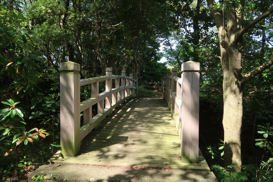 山頂　堀切の橋