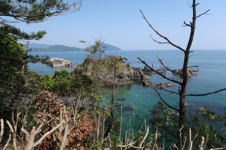 山頂から見る景色
