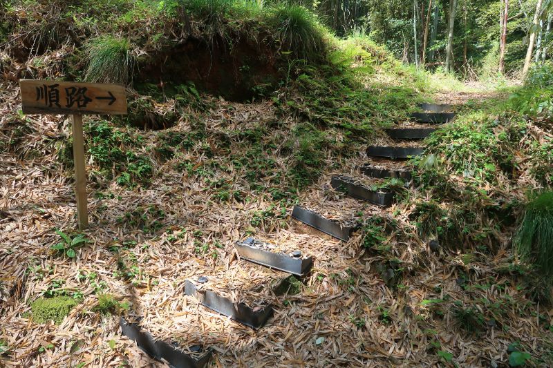 登り口からの山道