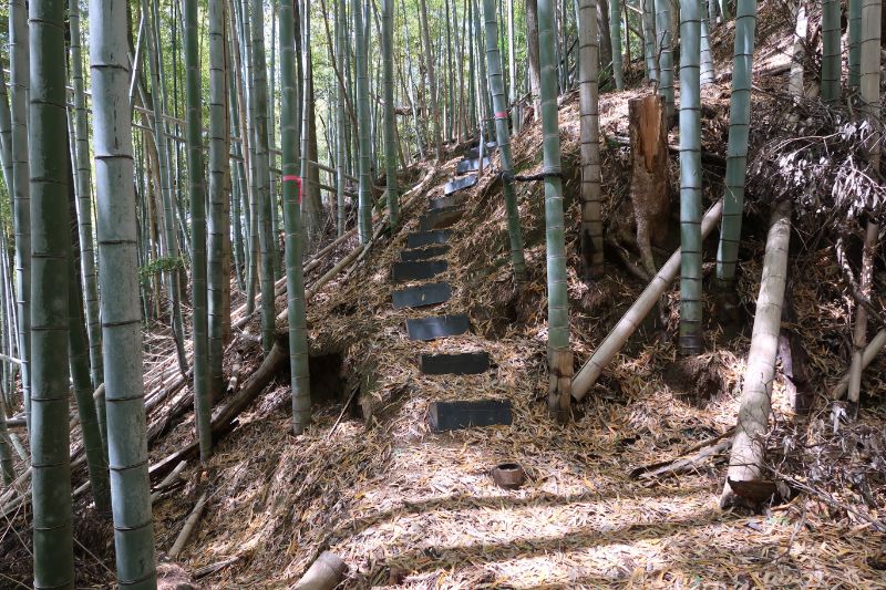 天王山から千丈嶽曲輪への階段