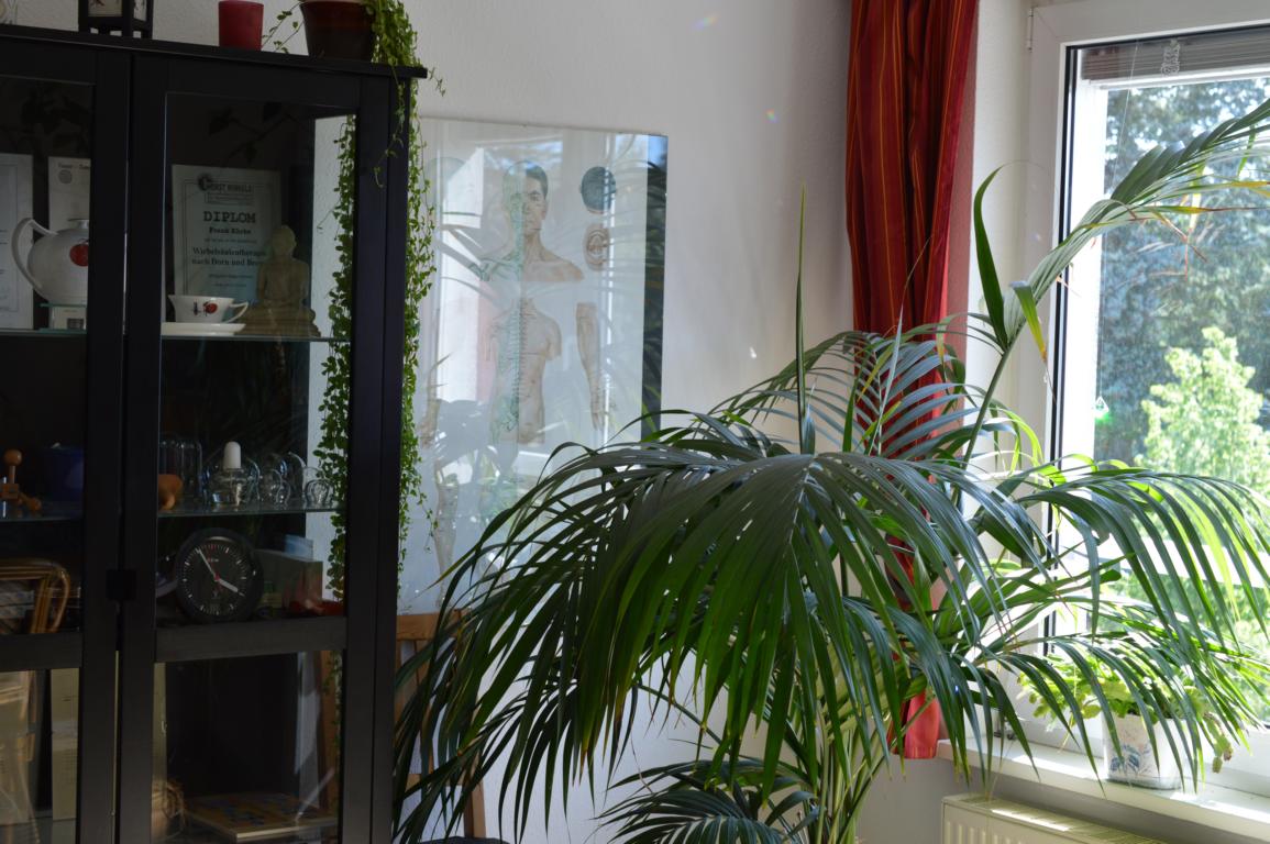 Palme im Behandlungsraum