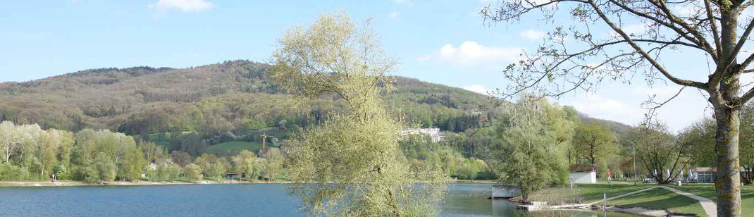 Plesching - Pleschinger See und Pfenningberg