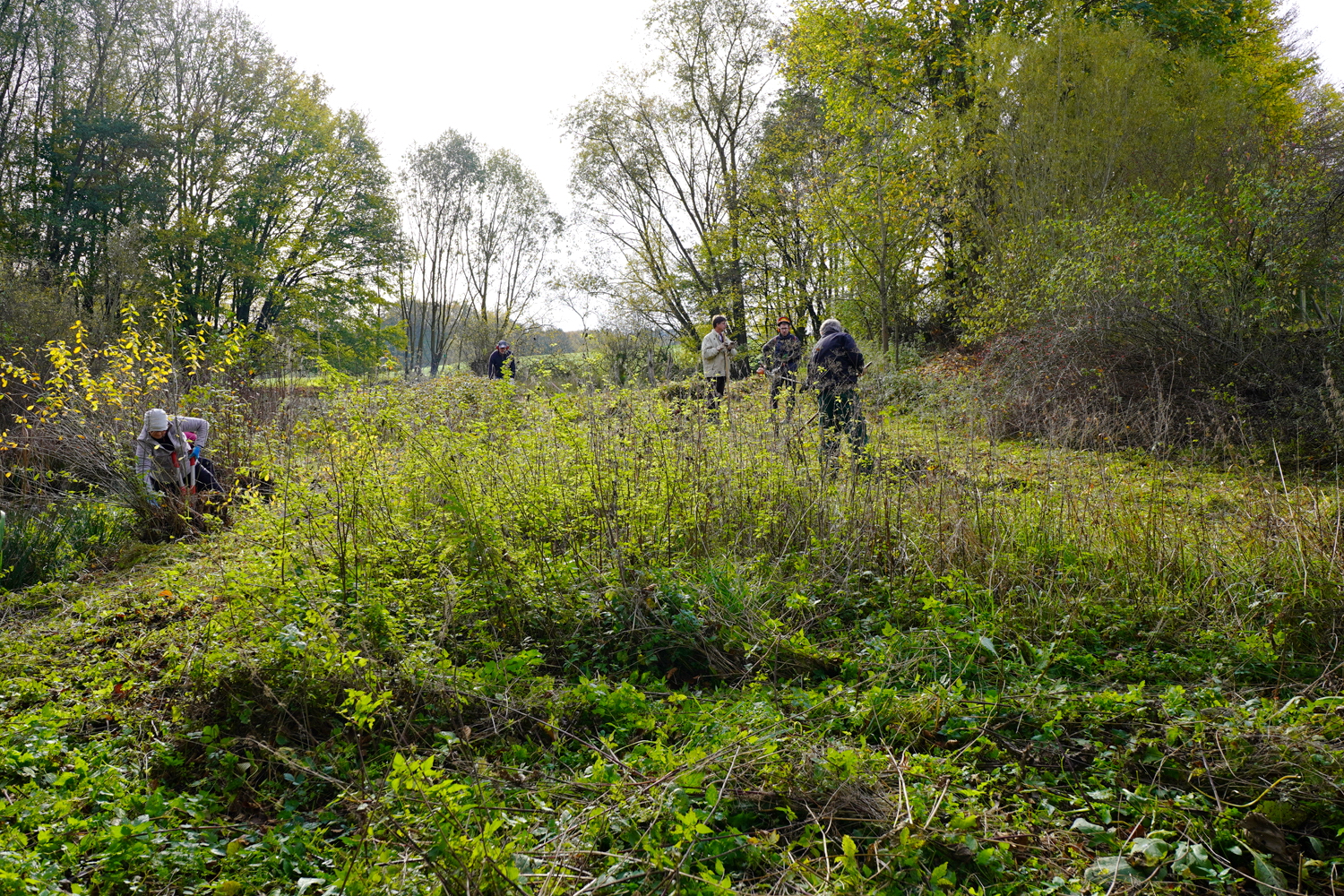 Foto: A. Röhm, es wurde die Fläche vor dem Teich schon fleißig mit Mähern bearbeitet