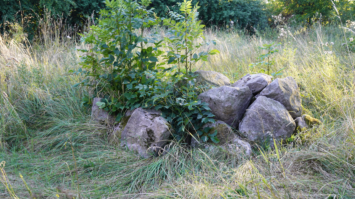 Lesesteinhaufen