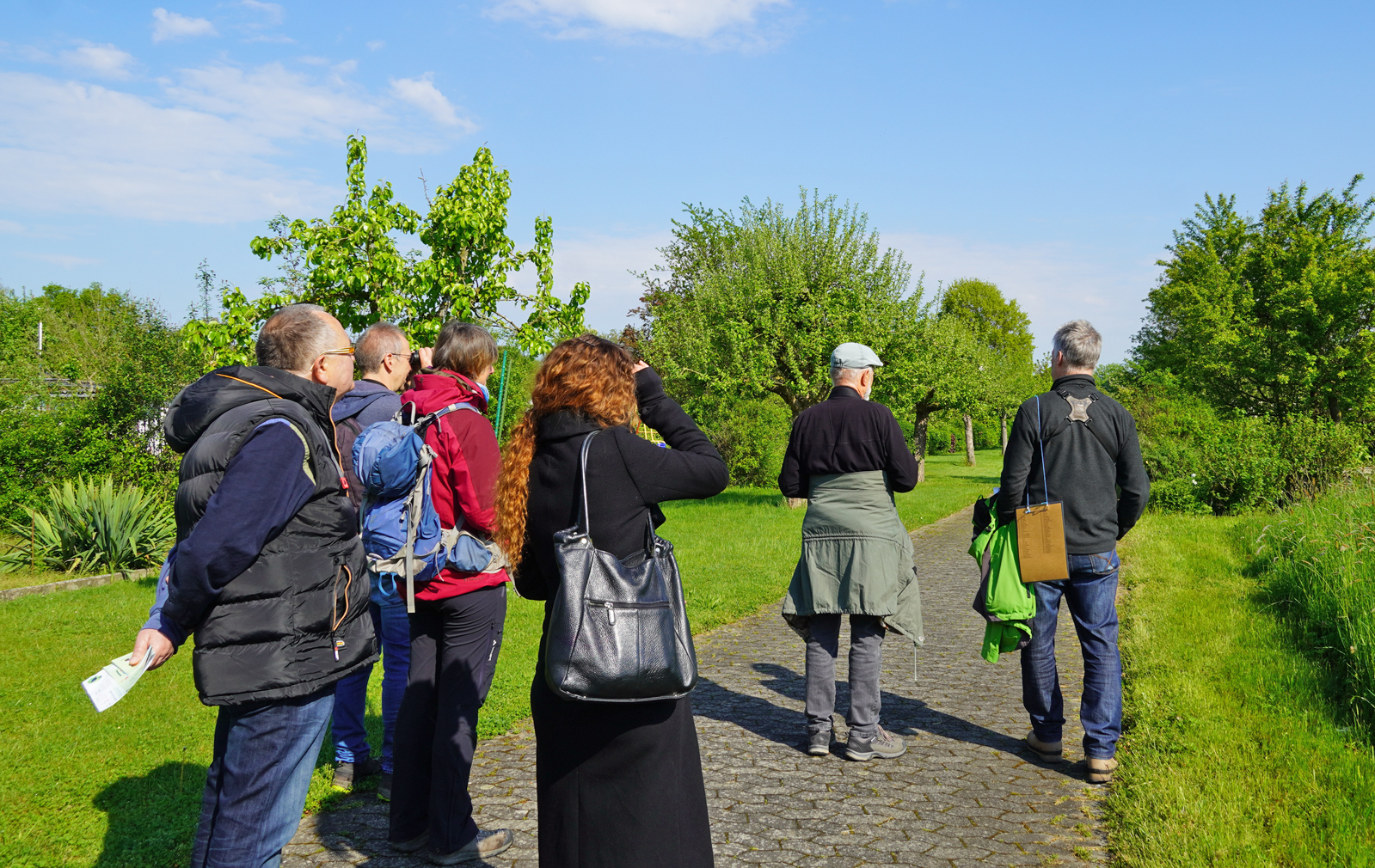 Foto: A. Röhm, Stunde der Gartenvögel 2023