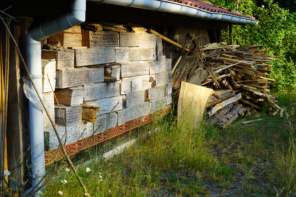 Foto: A. Röhm