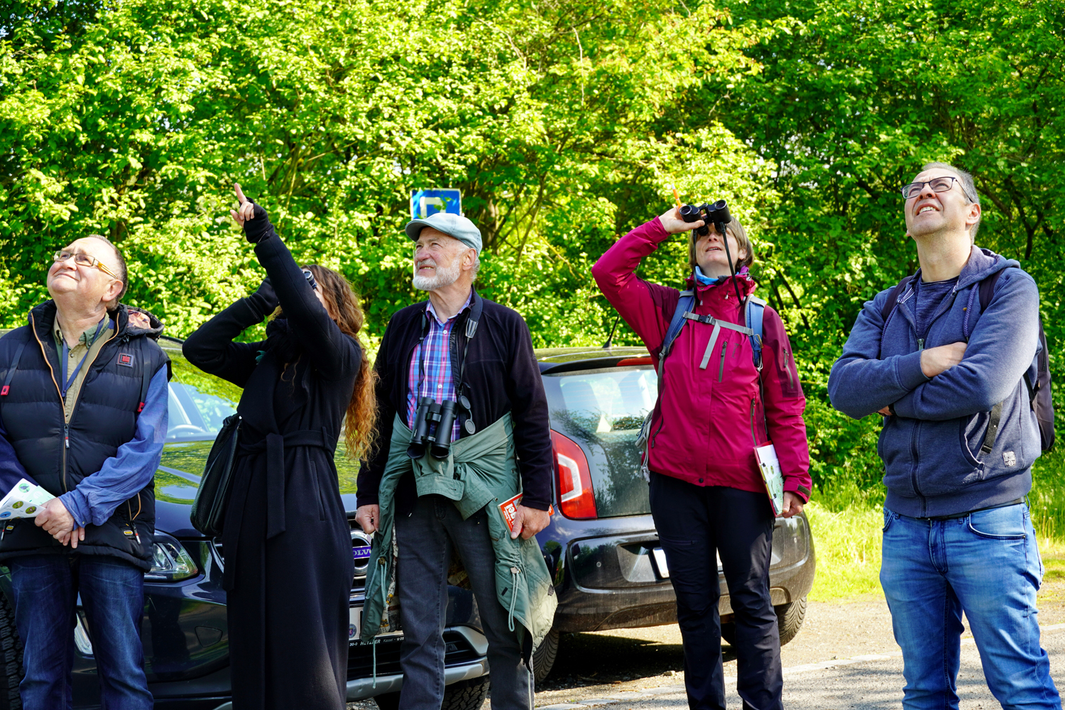 Foto: A. Röhm, Stunde der Gartenvögel 2023