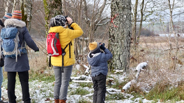 Foto: N. Rosin