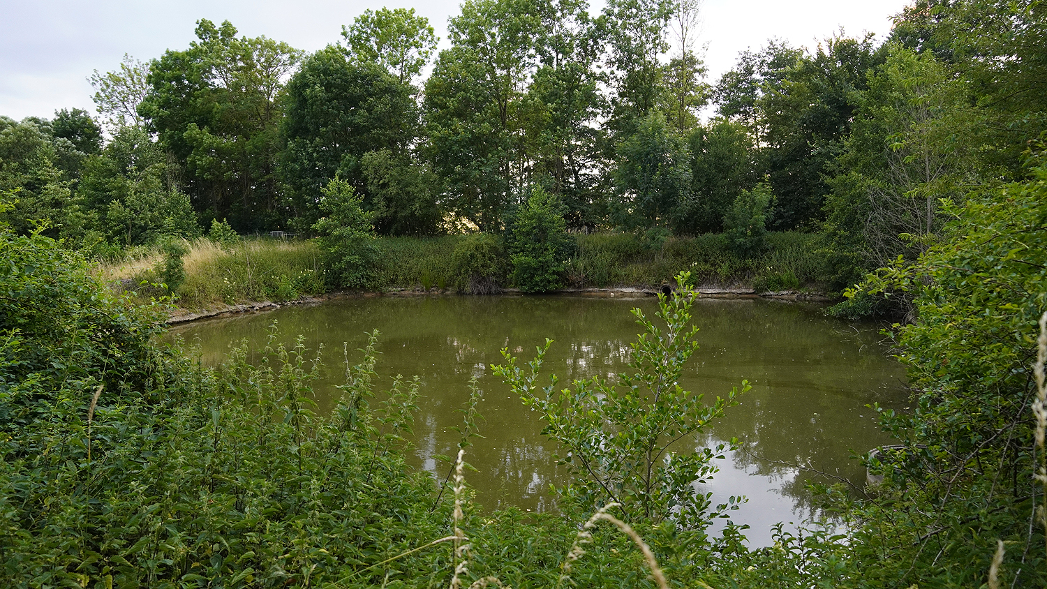 Teich 3
