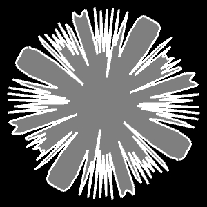 Generalisierte Superformel - Beispiel 9