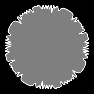 Generalisierte Superformel - Beispiel 10