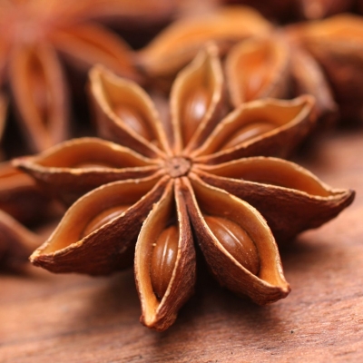 Sternanis
