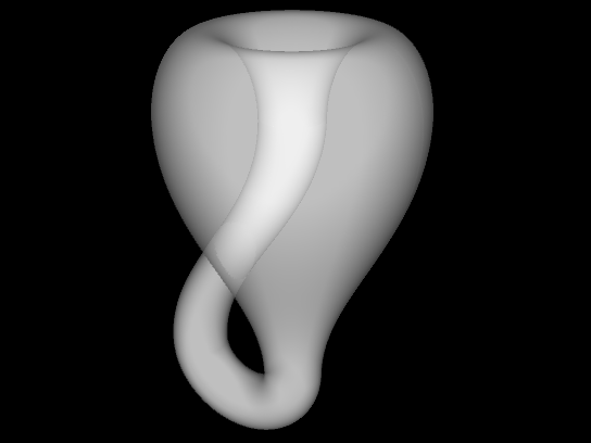 Klein'sche Flasche (Klein Bottle) Variante 2 - transparent