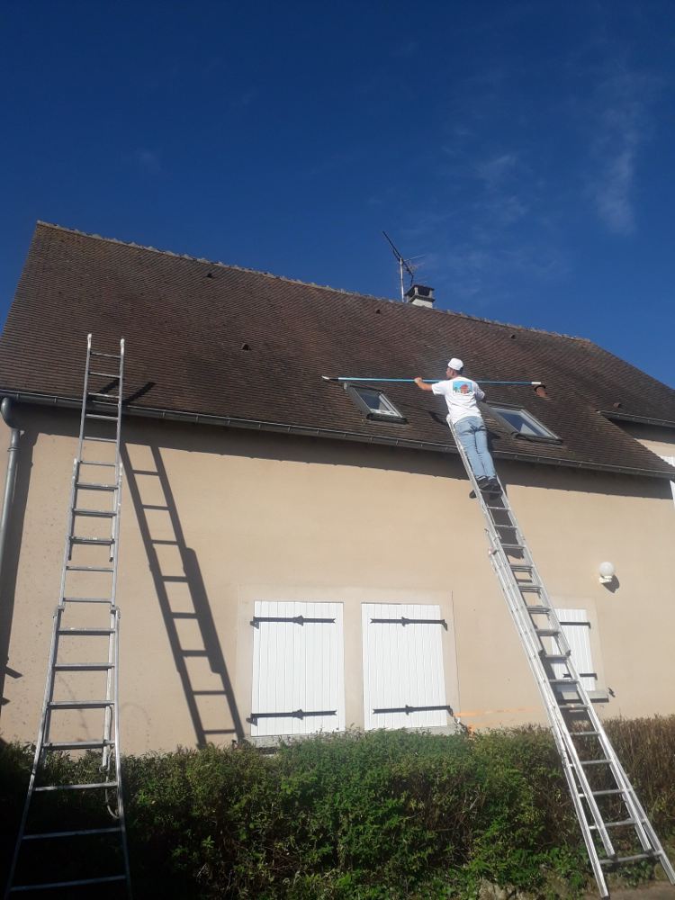 Des Moussages de Toiture