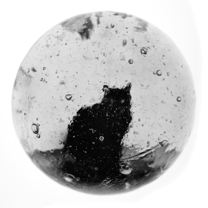 Le Chat. Tirage gélatino-argentique sur hémisphère de verre soufflé artisanal. env. 4,5 cm de diamètre.