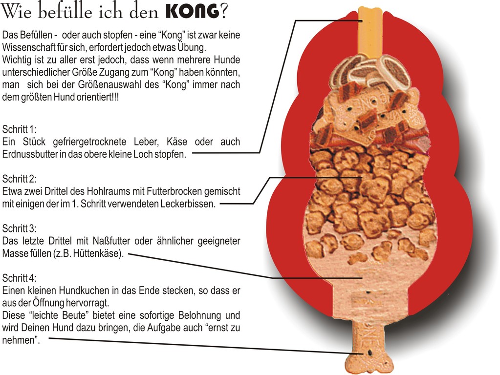 Was ist ein KONG? - warndt-waldis