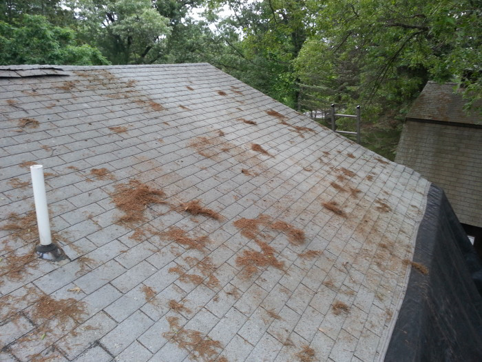 Dach przed renowacją