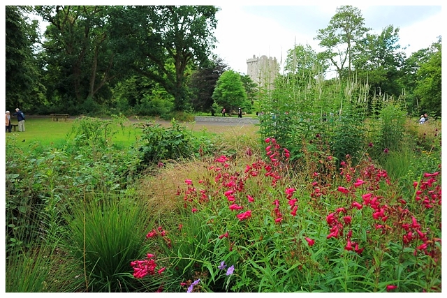 Blarney Castle Gardens