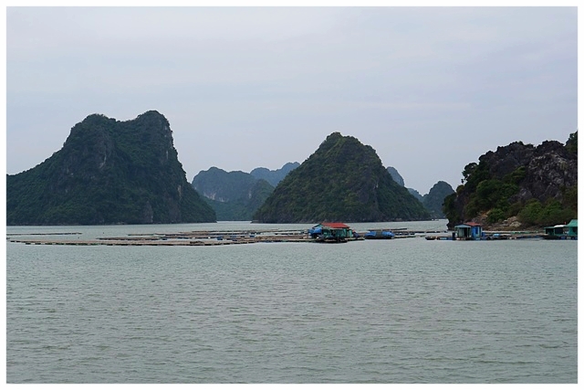 Halong Bay  halongbucht vietnam sehenswürdigkeiten bootstour