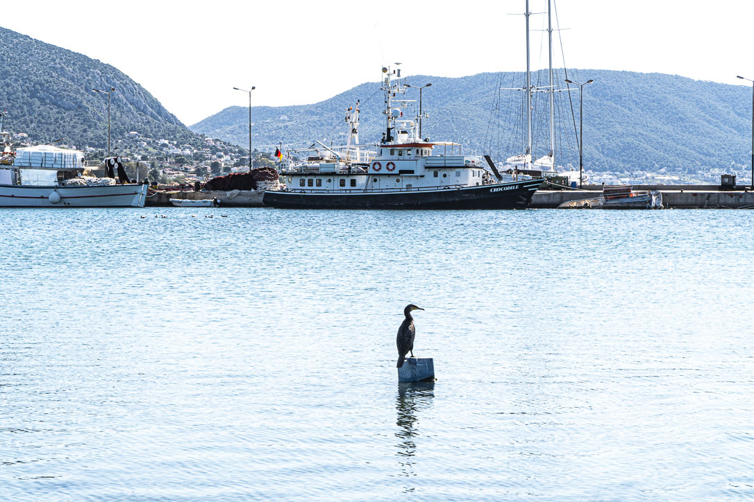 Salamina, Greece ©martin_schitto @fotomartsch