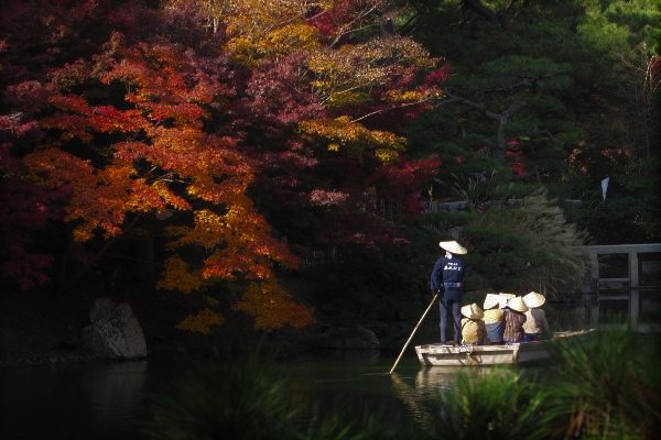 楓岸の紅葉と舟