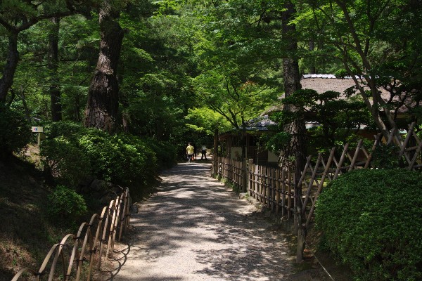 新日暮亭前の路