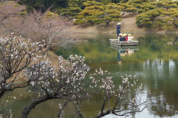 南湖の梅と和船 2月