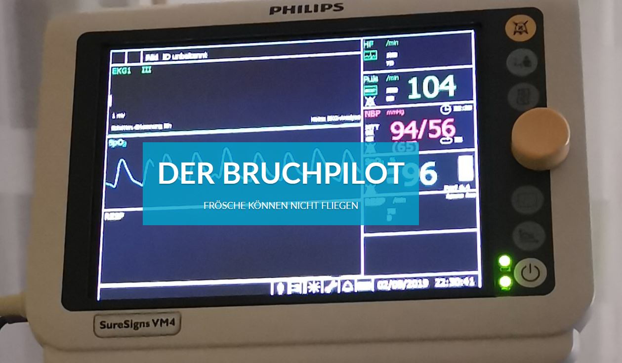 Der Bruchpilot