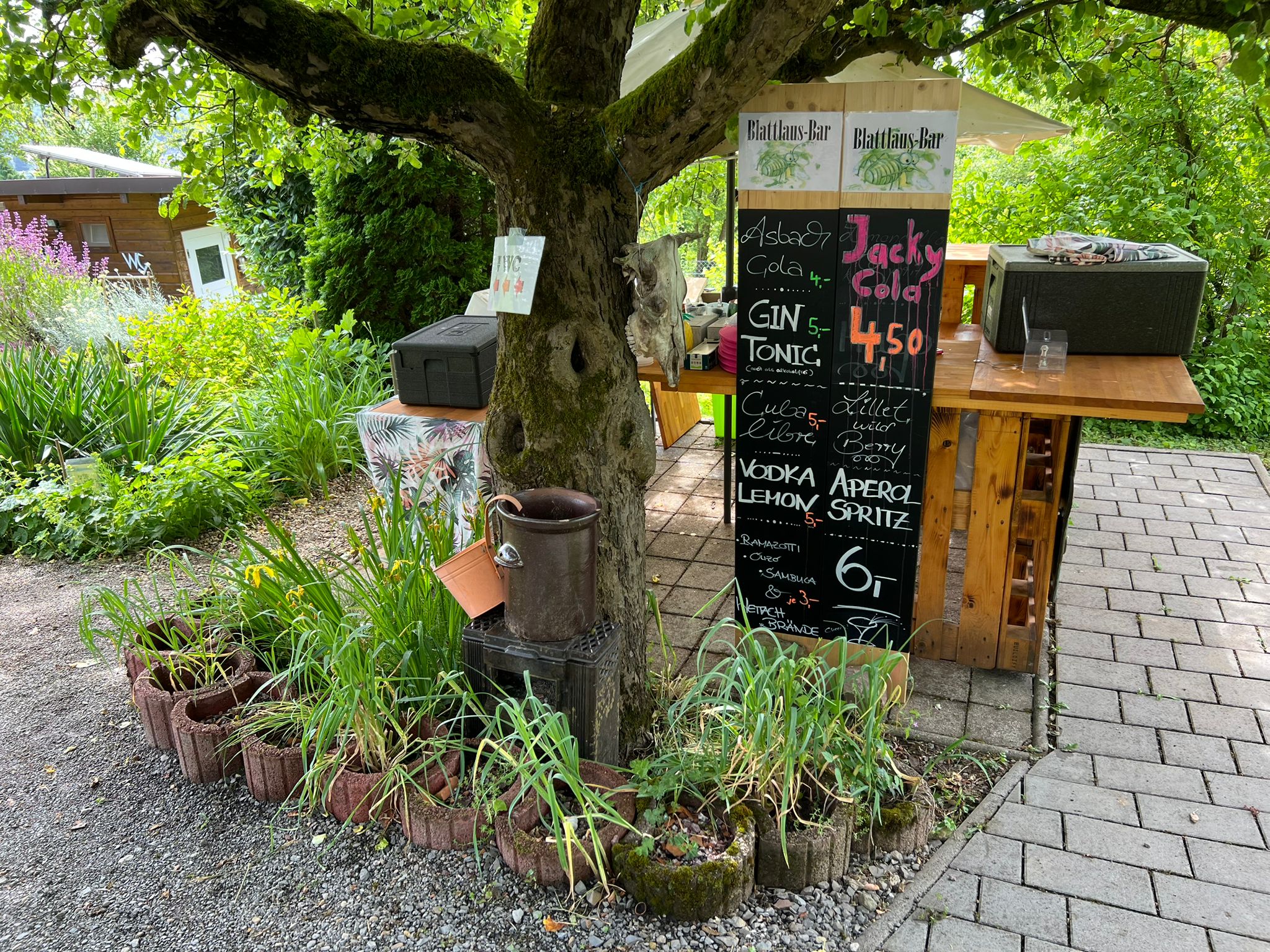 Blattlaus Bar