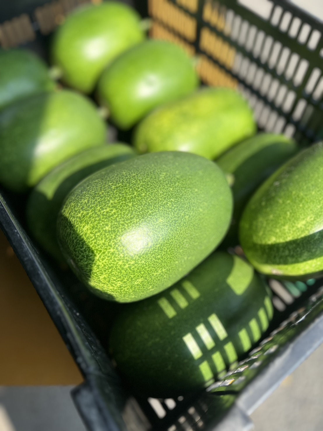久しぶりの更新です！〜上賀茂野菜のピンチをチャンスに〜