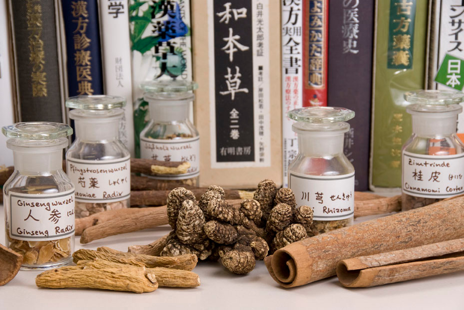 ISJKM International Society for Japanese Kampo Medicine ISJKM International Society for