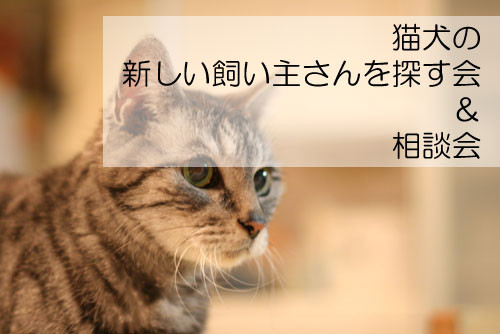 猫犬の新しい飼い主さんを探す会＆相談会