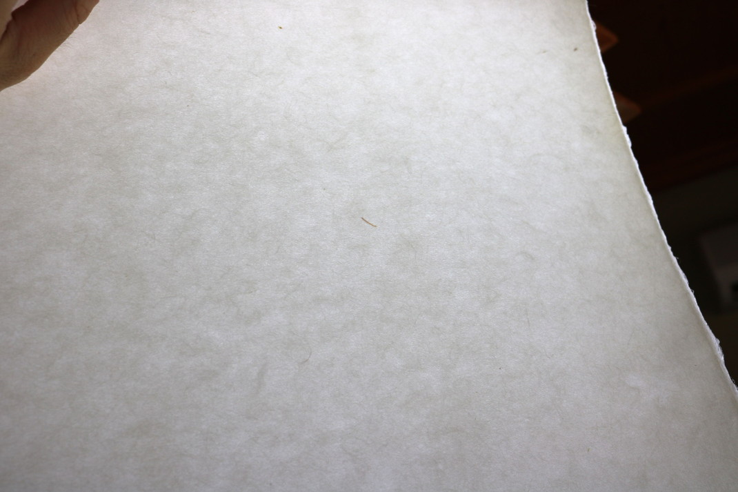 Kozoshi(White) - |越前和紙の木版画用紙なら喜太郎 Kozoshi(White) - |越前和紙の木版画用紙なら喜太郎