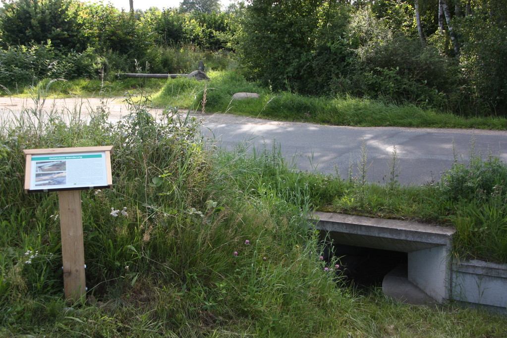 Infopunkt Wanderweg neben Leiteinrichtung