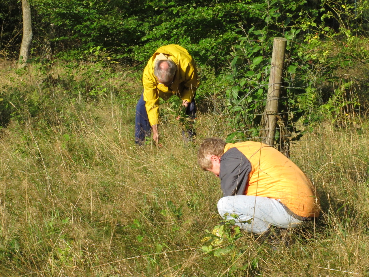 Arbeitseinsatz auf der Obstwiese des NABU Mölln im Herbst 2012