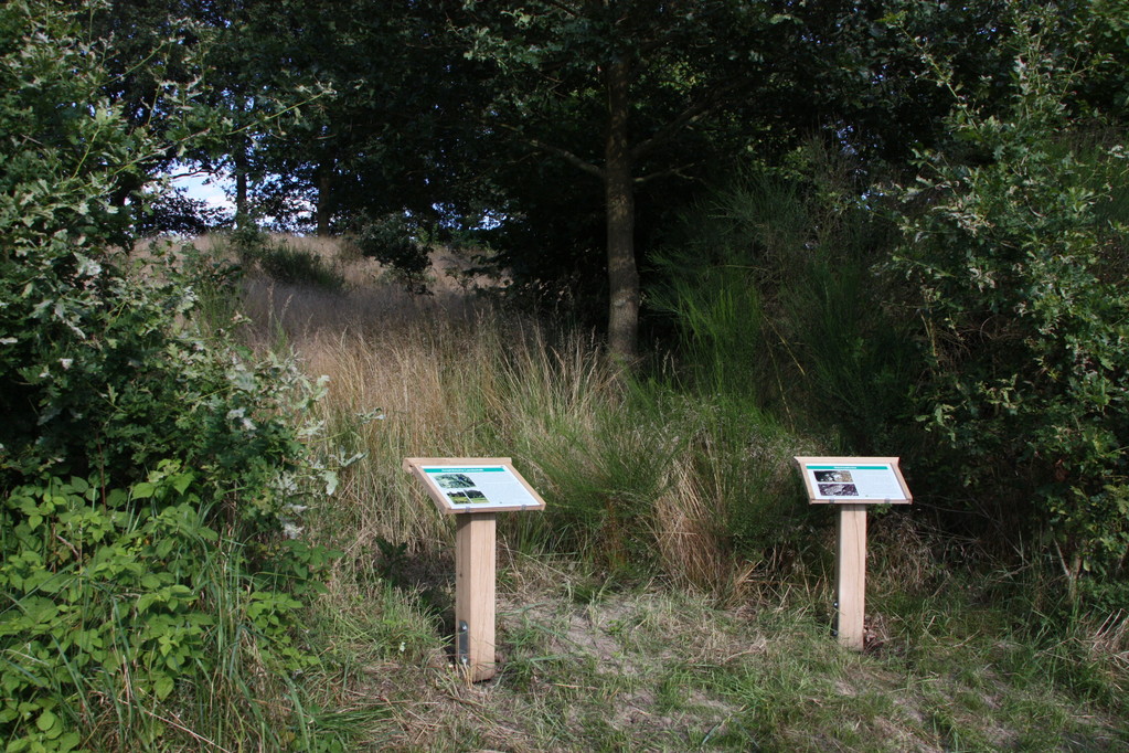 Infopunkt Wanderweg