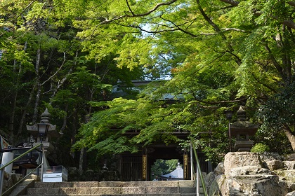 夏の多和兼割の大窪寺の仁王門