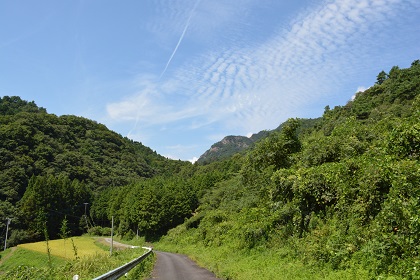 多和兼割の大窪寺から徳島へ続く遍路道