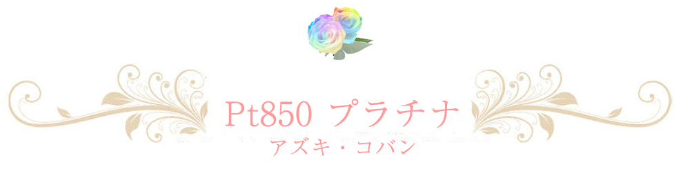 プラチナチェーン