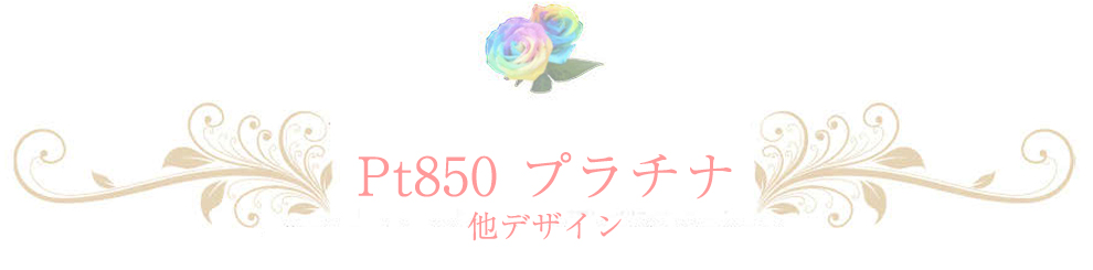 プラチナチェーン