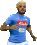 Insigne_NAP