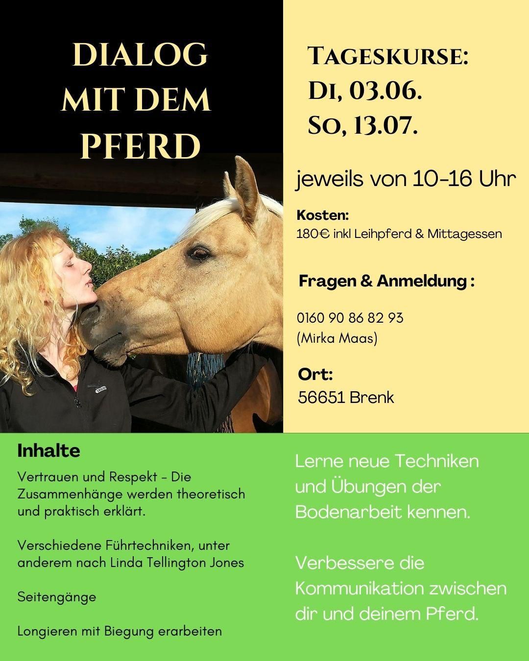 Kommunikation und Umgang mit dem Medium Pferd