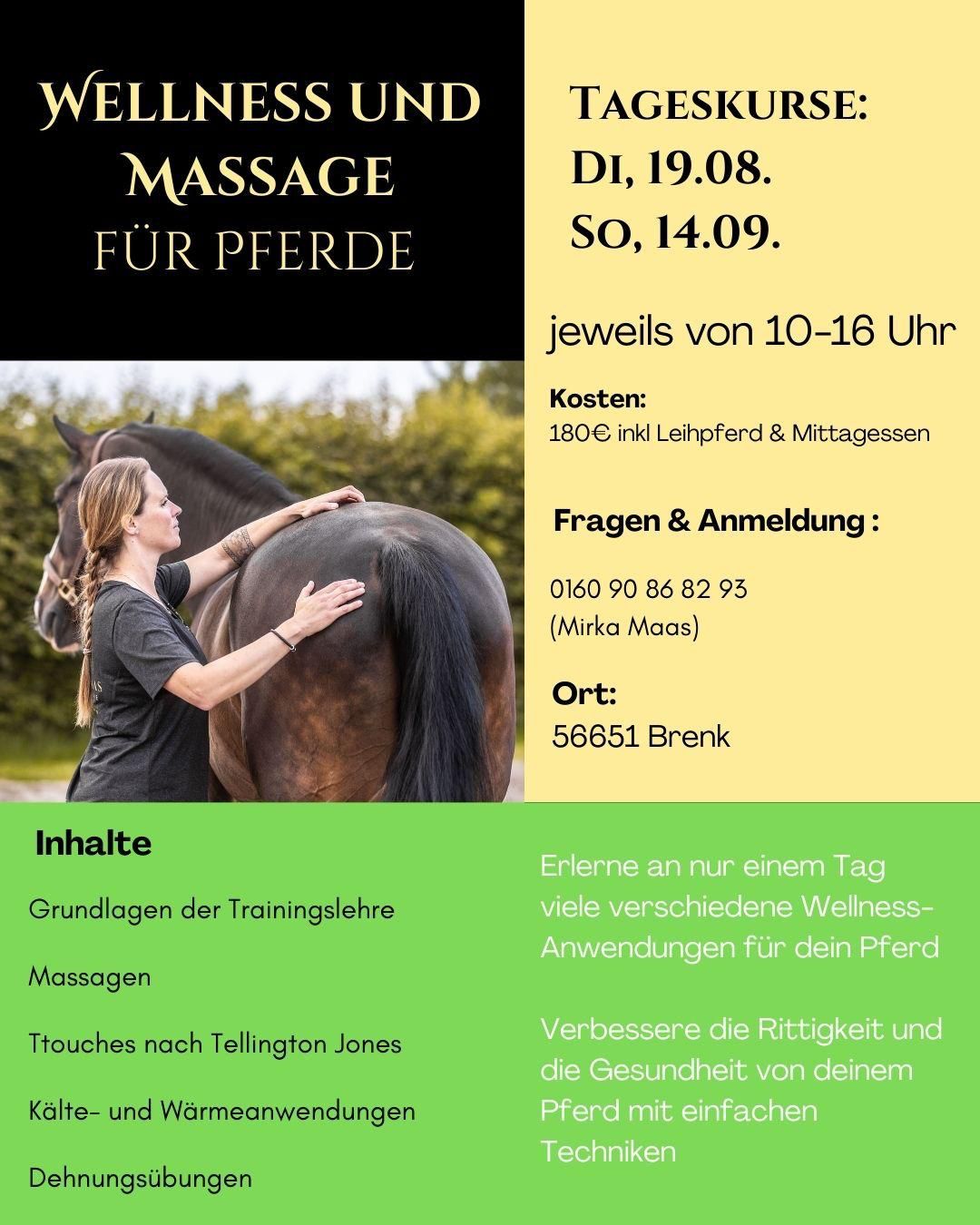 Gesundheitsförderung und Wellness für das Medium Pferd