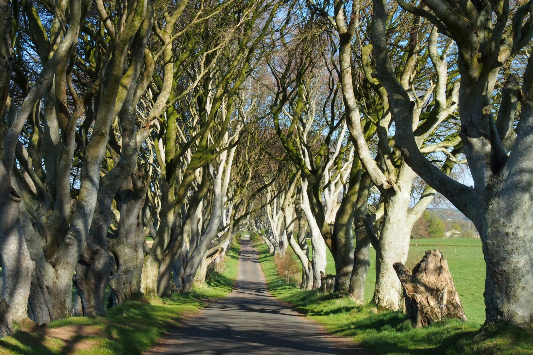 Causeway Coastal Route Teil 2