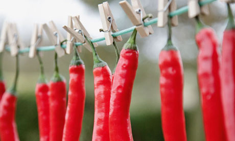 N.E.W. Thai Chilli ingredient