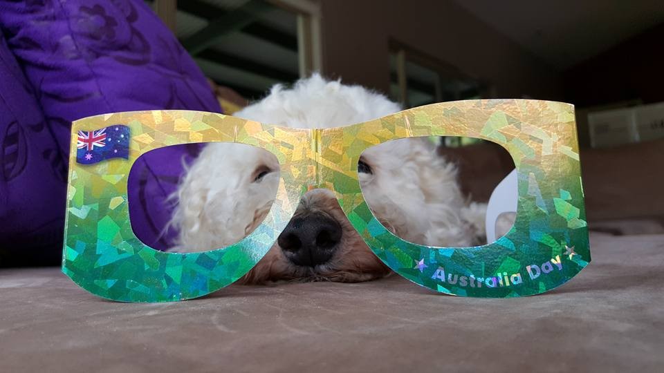 Happy Australia Day NOT!