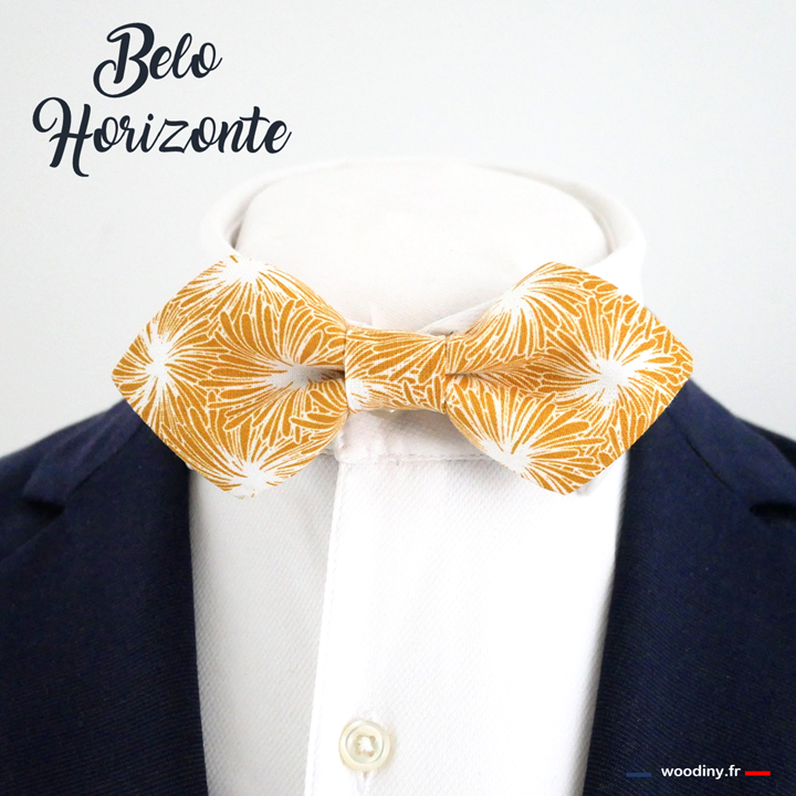 papillon à pointe jaune orange