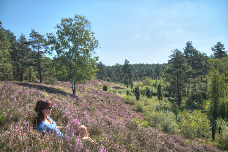 Garten- Biohotel Spöktal - FastenPlus
